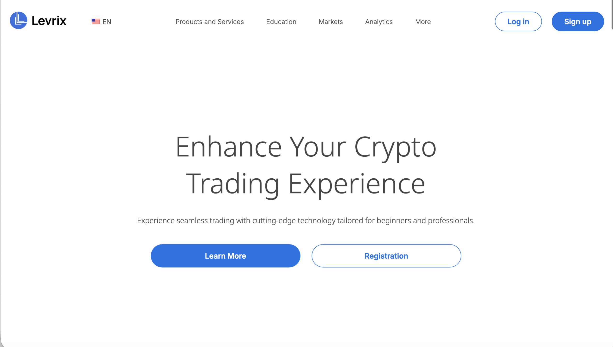 Levrix home page review